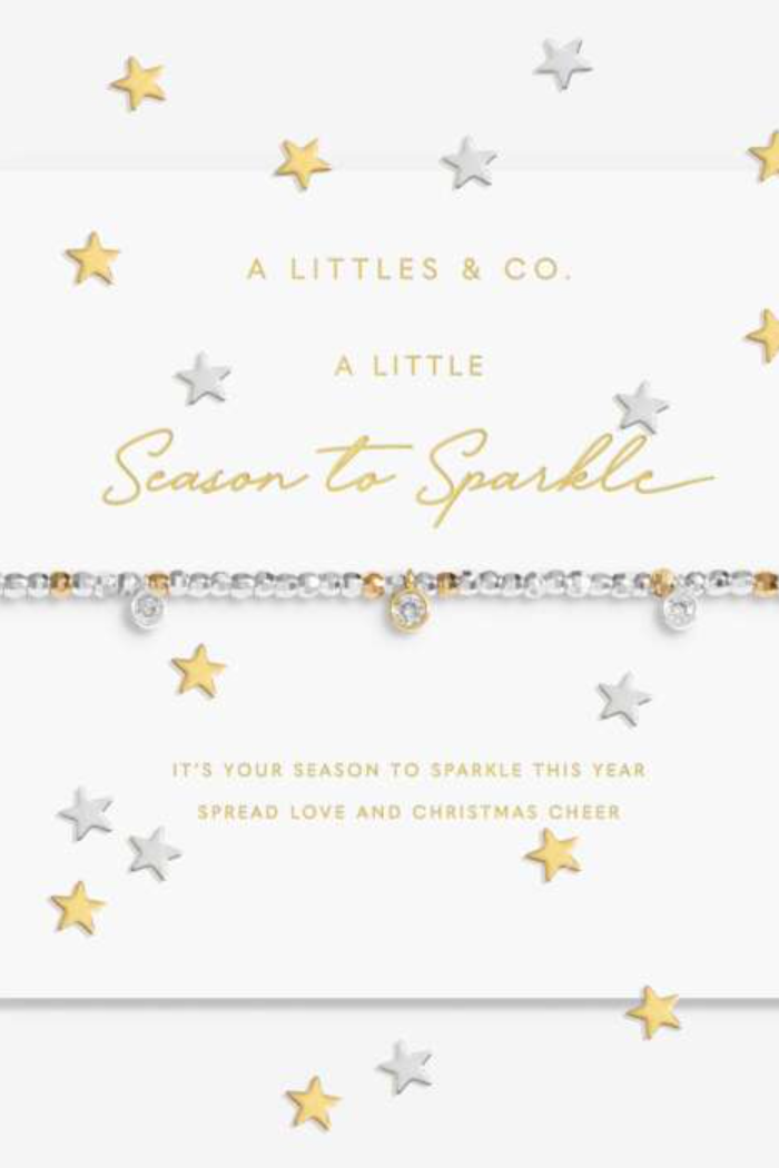 Card with gold and silver stars and text 'A Little Season to Sparkle' by A Littles & Co.